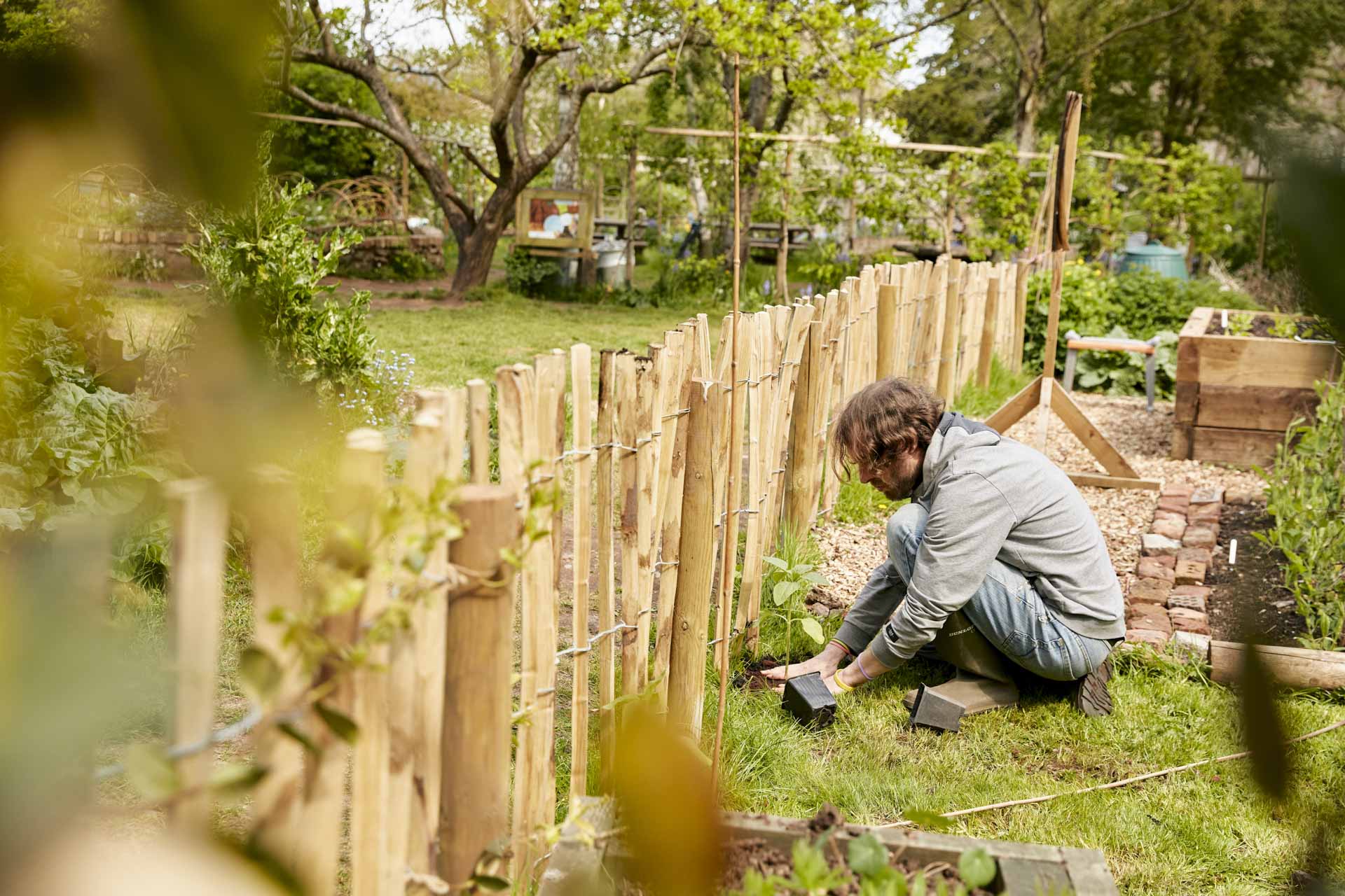 Home - Windmill Hill City Farm